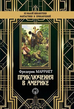 Фредерик Марриет Приключения в Америке [litres] обложка книги