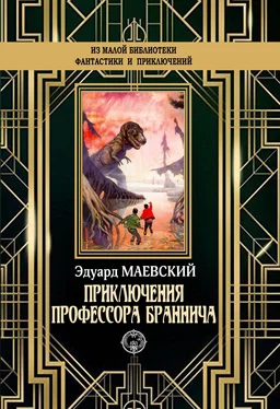 Эдуард Маевский Приключения профессора Браннича [litres] обложка книги