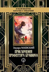 Эдуард Маевский - Приключения профессора Браннича [litres]