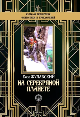 Ежи Жулавский На серебряной планете [litres] обложка книги