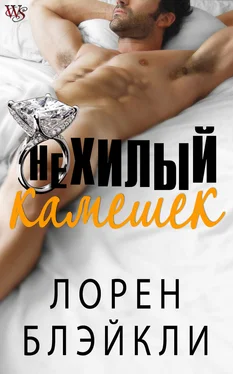 Лорен Блэйкли Нехилый камешек обложка книги