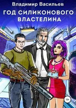 Владимир Васильев Год силиконового властелина обложка книги