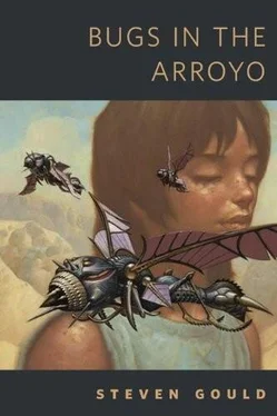 Стивен Гулд Bugs in the Arroyo обложка книги