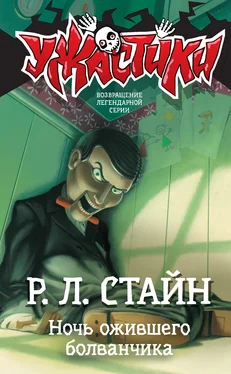 Роберт Стайн Ночь ожившего болванчика [litres] обложка книги