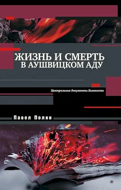 Павел Полян Жизнь и смерть в аушвицком аду обложка книги