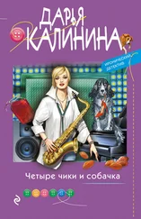 Дарья Калинина - Четыре чики и собачка