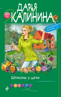 Дарья Калинина Шпионы у дачи обложка книги