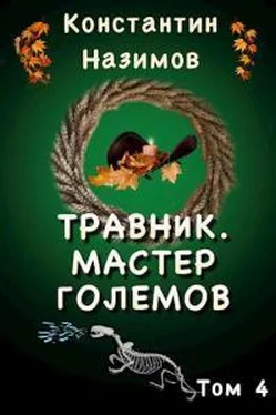 Константин Назимов Мастер големов (СИ) обложка книги