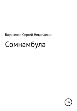 Сергей Борисенко Сомнамбула обложка книги