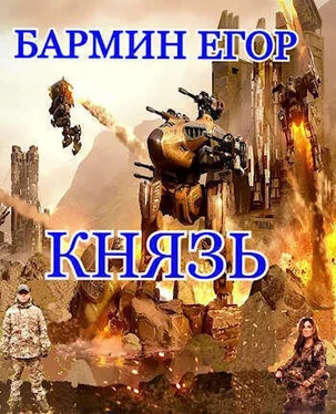 Егор Бармин Князь (СИ) обложка книги