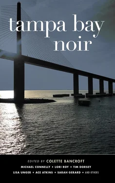 Майкл Коннелли Tampa Bay Noir обложка книги