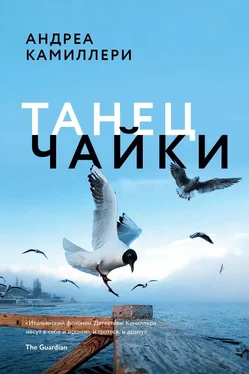 Андреа Камиллери Танец чайки [litres] обложка книги