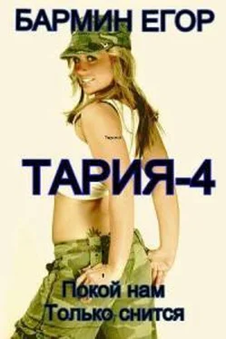Егор Бармин Тария 4 обложка книги