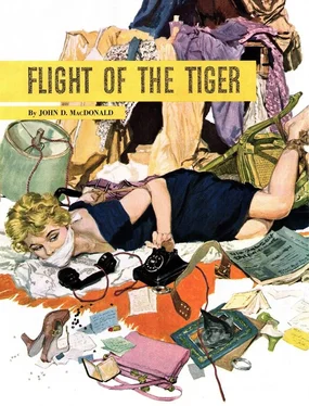 Джон Макдональд Flight of the Tiger