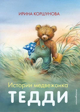 Ирина Коршунова Истории медвежонка Тедди [litres] обложка книги