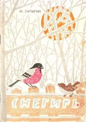 Михаил Лапыгин - Снегирь