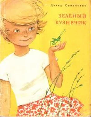 Давид Симанович Зелёный кузнечик обложка книги
