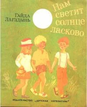 Гайда Лагздынь Нам светит Солнце ласково обложка книги