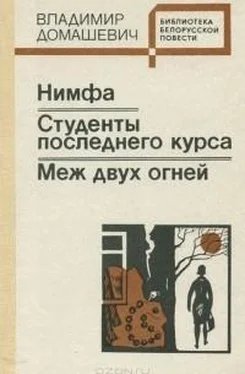 Владимир Домашевич Меж двух огней обложка книги