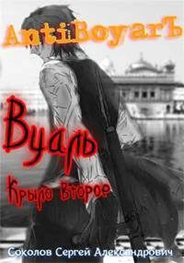 Сергей Соколов Вуаль. Крыло второе [СИ] обложка книги