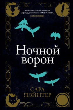 Сара Пэйнтер Ночной ворон [litres] обложка книги