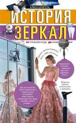 Алиса Шпигель - История зеркал. От отражения в воде до космической оптики [litres]