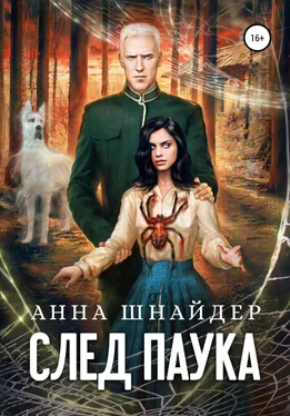 Анна Шнайдер След паука. Часть первая обложка книги