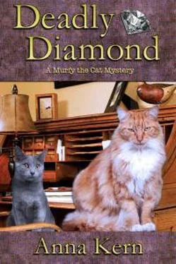 Анна Керн Deadly Diamond обложка книги