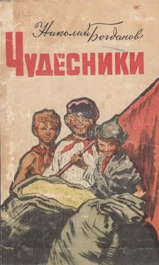 Николай Богданов Искатели сбитых самолетов обложка книги