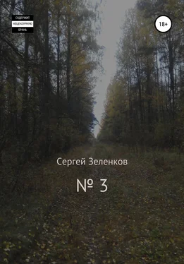 Сергей Зеленков № 3 обложка книги