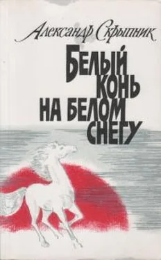 Александр Скрыпник Белый конь на белом снегу обложка книги