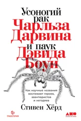 Стивен Хёрд - Усоногий рак Чарльза Дарвина и паук Дэвида Боуи. Как научные названия воспевают героев, авантюристов и негодяев