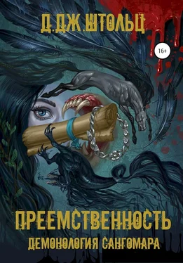 Д Штольц Преемственность обложка книги