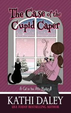 Кэти Дэйли The Case Of The Cupid Caper обложка книги
