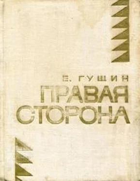 Евгений Гущин Правая сторона обложка книги