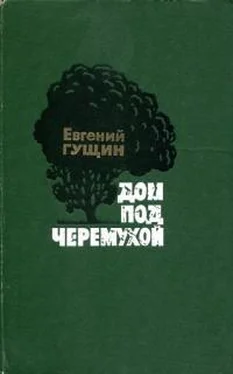 Евгений Гущин Дом под черемухой обложка книги