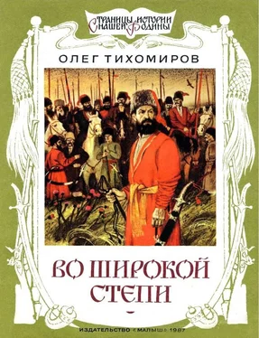 Олег Тихомиров Во широкой степи обложка книги