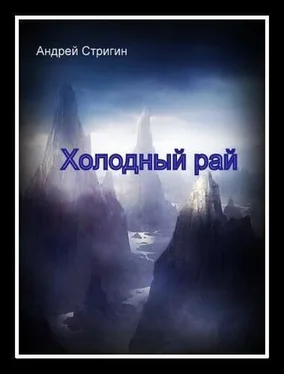 Андрей Стригин Холодный рай обложка книги