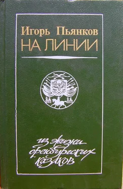 Игорь Пьянков На линии [из жизни оренбургских казаков] обложка книги