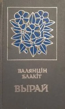 Валентин Блакит Вырай обложка книги