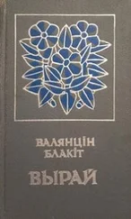 Валентин Блакит - Вырай