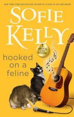 Софи Келли Hooked On A Feline обложка книги