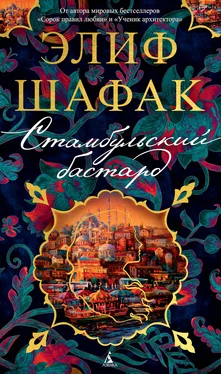 Элиф Шафак Стамбульский бастард [litres] обложка книги