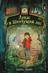 Андреас Зуханек - Ночь волшебства