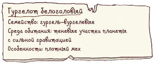 Недалеко от таблички располагался эскалатор по которому можно было подняться - фото 24
