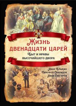 Иван Снегирёв Жизнь двенадцати царей. Быт и нравы высочайшего двора обложка книги