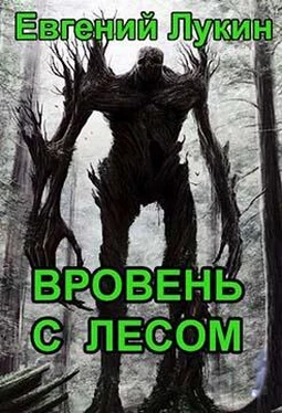 Евгений Лукин Вровень с лесом обложка книги