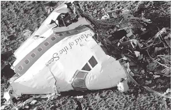Рис 23 Носовая часть фюзеляжа Боинга 747 взорванного над Локерби Рис 24 - фото 24