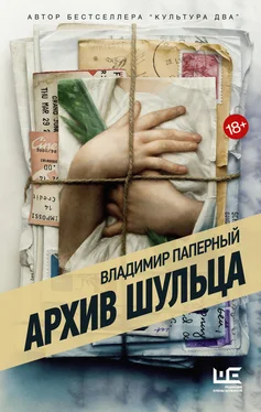 Владимир Паперный Архив Шульца [litres] обложка книги