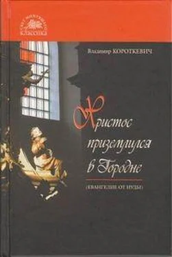 Владимир Короткевич Христос приземлился в Городне (Евангелие от Иуды) обложка книги